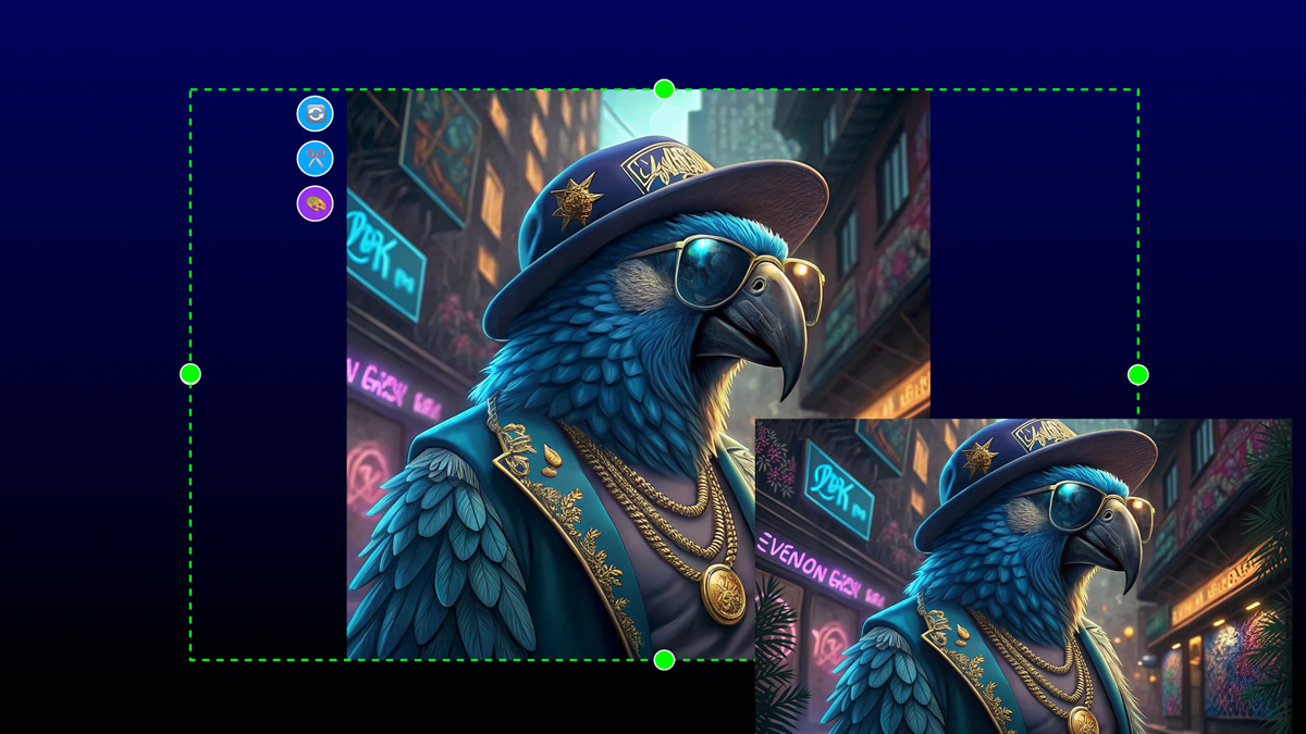 Image expansion interface